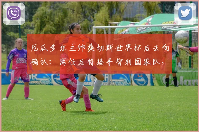 厄瓜多尔主帅桑切斯世界杯后去向确认：离任后将接手智利国家队，执教时间与合同细节前瞻
